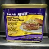 Hormel Foods SPAM Korean BBQ Flavored 2024 New Release
