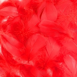 Mbsomnus Red Feathers, 600 Pcs Feathers for Crafting Natural Craft Feathers 5-12 cm Feathers for DIY Crafts Dream Catcher Earrings Headdress Hats Feather Flowers Wedding Party Holiday Decoration