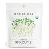 Organic Broccoli Sprout Seeds (8 oz) – Non-GMO, Heirloom Seeds