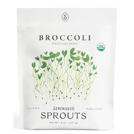Organic Broccoli Sprout Seeds (8 oz) – Non-GMO, Heirloom Seeds for Sprouting and Microgreens