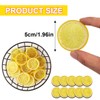 RDNKVB Pack of 10 Artificial Lemon Slices Plastic Fake Lemon