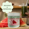 Eocute Watermelon Slush Nutrition Super Greens Powder Swirl Digestive Health