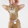 BuddyArmor Safety Cat Collar - U.S. IDA Gold Awarding Design,