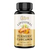 Liposomal Turmeric Curcumin Supplement 2000mg, 95% Standardized Curcuminoid Extract &
