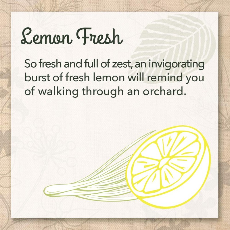 EcoMe Stainless Steel Polish, Multi-Surface Cleaner, Lemon Fresh, 16 oz