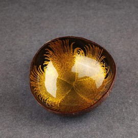 Healifty 3 x Natural Coconut Bowl, Decorative Smoothie Serving Bowl, Dessert Cup, Candy, Nuts, Storage Container for Keys, Entrance, Table, Home Decoration (Mixed Style)