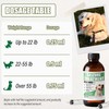 Seizure Support Liquid for Dogs & Cats 100 mL |