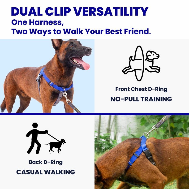 APDEXY Freedom No Pull Dog Harness, Designed for Hound Dog