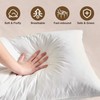 BHZ Goose Down Feather Pillows Queen Size - Hotel Collection
