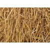 4 Pounds 100 Percent Natural Wheat Straw (4 lbs.)