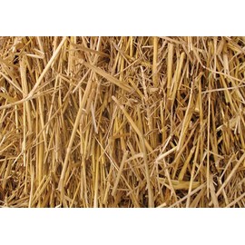 4 Pounds 100 Percent Natural Wheat Straw (4 lbs.)