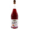 Côteaux Nantais Organic Apibul Blackcurrant (1 x 750 ml)