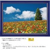 1000 Piece Jigsaw Puzzle Colorful Walk (Hyogo) Compact Piece (10.2