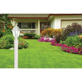 Nuvo Lighting 60/546 Traditional One Light Post Mount from Briton collection in White finish