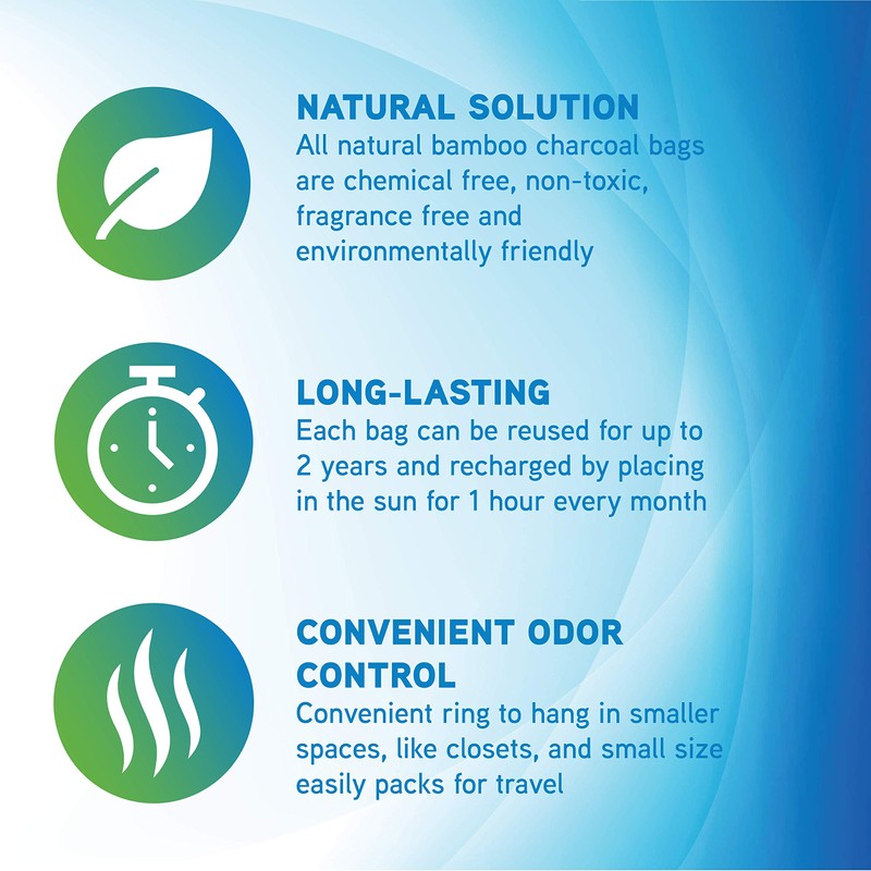 PureGuardian CB200 Bamboo Charcoal Air Purifying Bag, Eco-Friendly, Naturally Absorbs