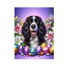 Springer Spaniel Black/White - Best of Breed DCR Easter Holiday