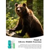 CHADWICK Multicolor Bear Bells with Whistle, Includes Matching Emergency Whistle,