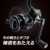 AbuGarcia Roxani SP 2500SH Roxani Spinning Reel, 24 Year Model