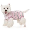 Dog Surgery Recovery Suits, Dog Recovery Suit for Male/Female, E-Collar