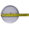 8.25” Reusable and Durable 100 Dollar Bill Piggy Bank Tall