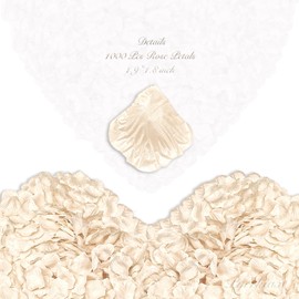 enttgo 1000Pieces Rose Petals, Artificial Flower Petals Fake Rose Petals Silk Red Rose Petals for Romantic Night,Wedding,Proposal Anniversary Flower Decorations (Champagne)