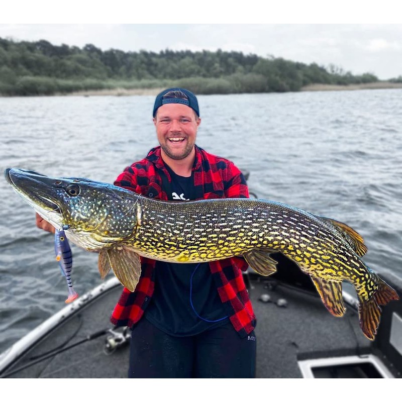 LMAB KØFI Perch Shad 9 cm White Tiger