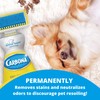 Carbona Oxy-Powered Pet Stain & Odor Remover w/ Active Foam