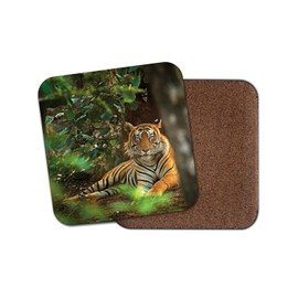 1 x Beautiful Tiger Coaster - Big Cat Lion Animal Jungle Wild Fun #8842