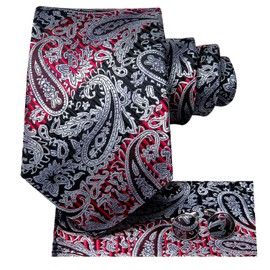 Hi-Tie Men's Solid Colour Tie Handkerchief Wedding Party Classic Tie & Pocket Square Set Multiple, red silver paisley