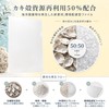 50% Oyster Shells x 50% Recycled Plastic Clear File