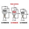 Novelty Lights 25 Pack G40 Outdoor Globe Replacement Bulbs, Green,