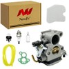 NewJ's Carburetor with Air Filter Fuel Line Filter Fit for
