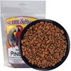 Sleek & Sassy Pine Nuts for Birds (10 oz.)