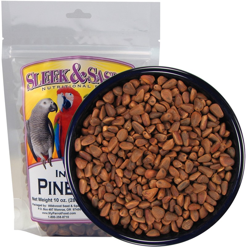 Sleek & Sassy Pine Nuts for Birds (10 oz.)
