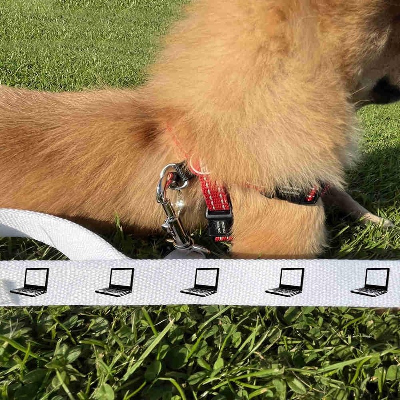 'Open Laptop' Dog Lead/Leash (DL00024551)