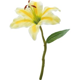 Popy FFH-0016Y Casablanca Yellow Artificial Flower, Total Length 14.6 inches (37 cm), Flower Diameter 6.7 inches (17 cm)