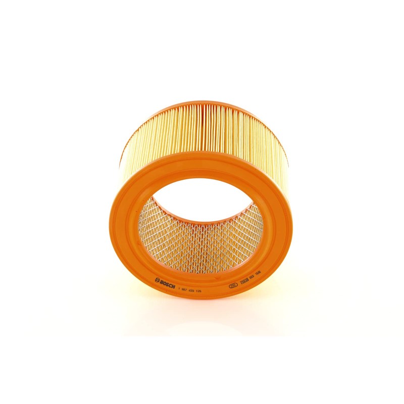 Bosch Automotive S9125 Air Filter Car