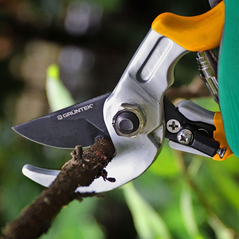 GRÜNTEK Raven 200mm Professional Anvil Secateurs - Japanese SK5 Blade,