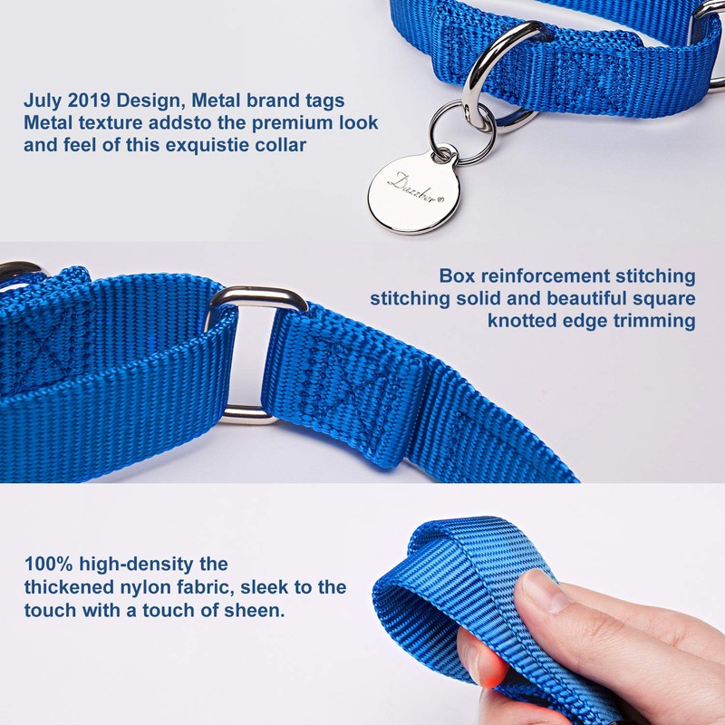 Dazzber Martingale Collar, Medium, Royal Blue, Neck 14 Inch -21