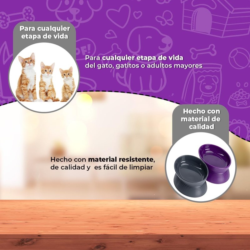 Fancy Pets Set de 2 Platos para Gatos Inclinados y