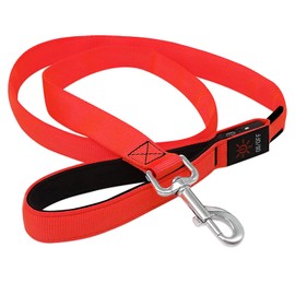 BSEEN LED Nylon Dog Leash- USB Rechargeable Nylon Glowing Puppy Leashes, Light Up Pet Safety Leash for Small Medium Large Dogs (47 Inch, Ruby Red)