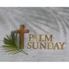 Palm Sunday Palm Crosses - Pack of 50 - 9.5"