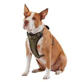 KONG Max Ultra Durable Neoprene Padded Chest Plate Dog Harness Offered by The Barker Company (Green, Large)