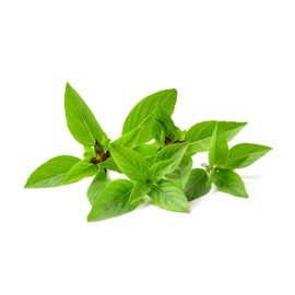 Thai Basil Herb Seeds - Non-GMO - 0.5 Grams