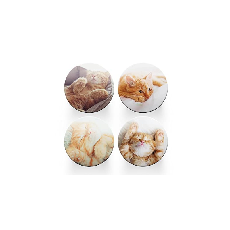 4 x Round Ginger Cat Coasters - Kitten Animals Set