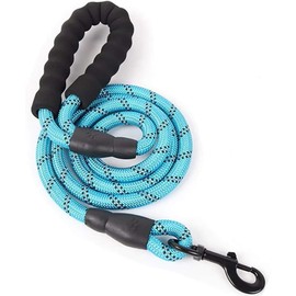 Heavy Duty Rope Dog Lead 5FT – Durable Anti-Slip Leash with Soft Padded Handle, Reflective Nylon Training Lead for Walking, Running, and Obedience – for Small, Medium & Large Dogs (Aqua Blue, Large)