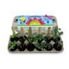 Backyard Safari Company SS-KG Plant Germination Kits, 1 Count (Pack