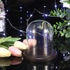 TOLIDA Glass Dome with Natural Wooden Base Robust Decorative Glass