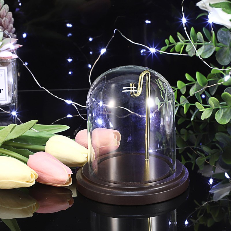 TOLIDA Glass Dome with Natural Wooden Base Robust Decorative Glass