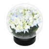 Achla Designs Glass Flower Aquarium, Globe Vase